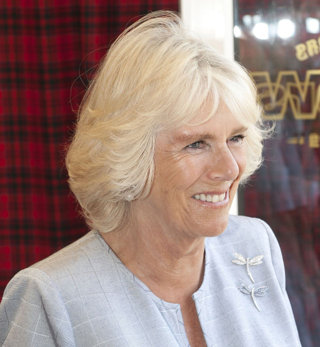 Peter Phillips, Kate Middleton, Duchess of Cambridge, Duchess of  Cornwall, Helicopter, Duke of Cambridge, Prince Phillips, Prince William, Princess Kate, Middleton Family, Buckingham Palace, Coronation, Queen Elizabeth, Pippa Middleton, James Middleton, Carole, Michael, Birth, Royal Baby, Hospital, Paparazzi, Birth Plan, Hospital Suite, Room