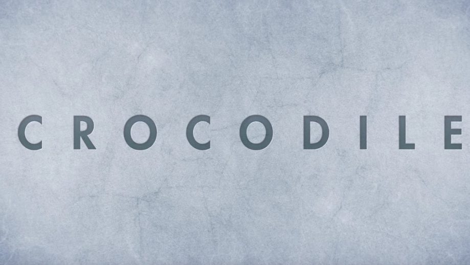 Crocodile