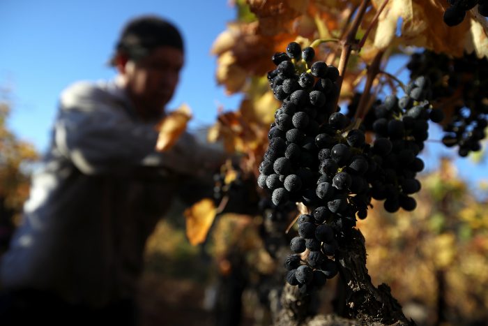 national red wine day 2018