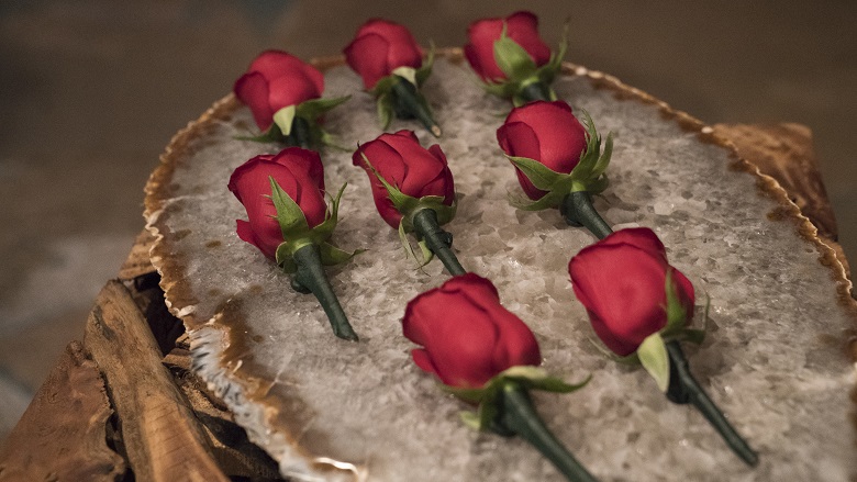 How to Watch Bachelor in Paradise Online