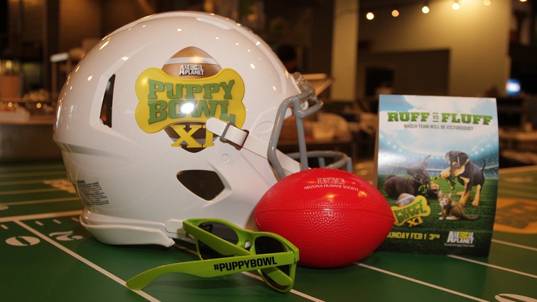 Puppy Bowl 2019 Time And Channel