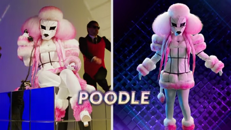 The Masked Singer Poodle Clues