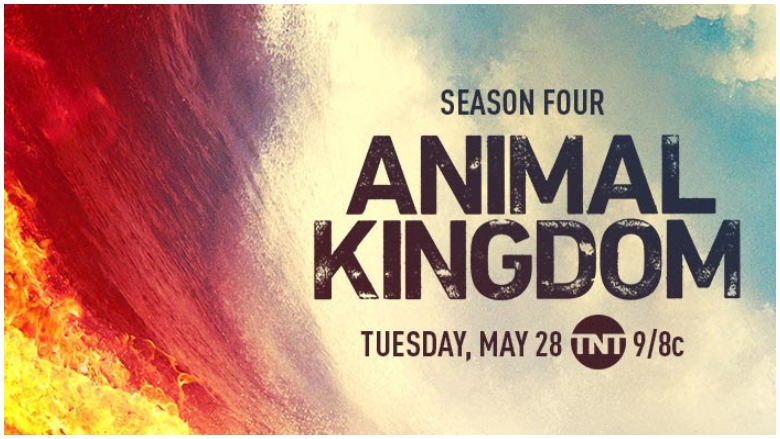 Animal Kingdom