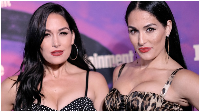 Bella Twins