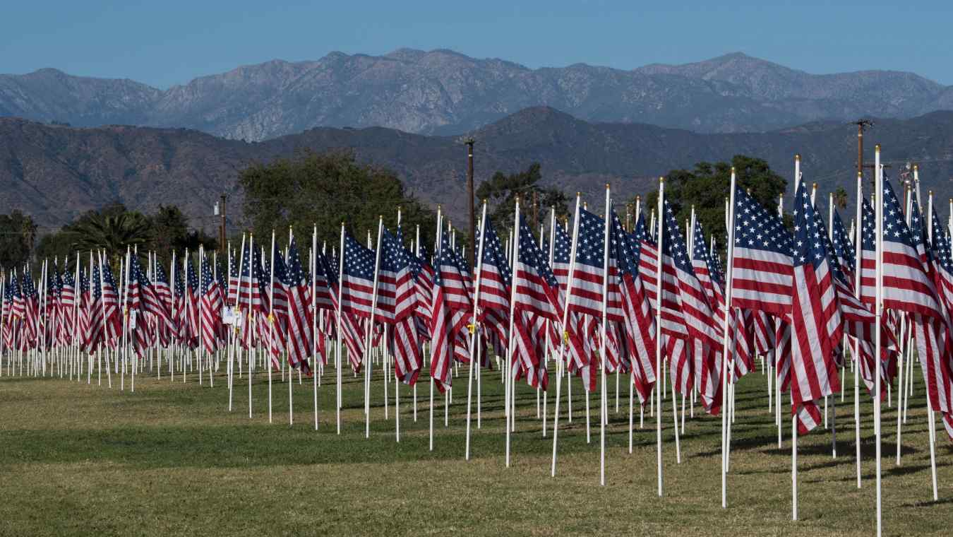Best Buy Veterans Day 2019