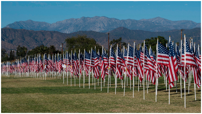 veterans day 2019 airport deals