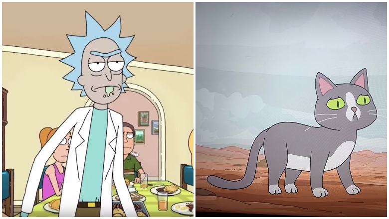 Rick and Morty's cat