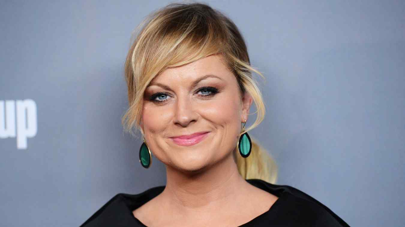Amy Poehler