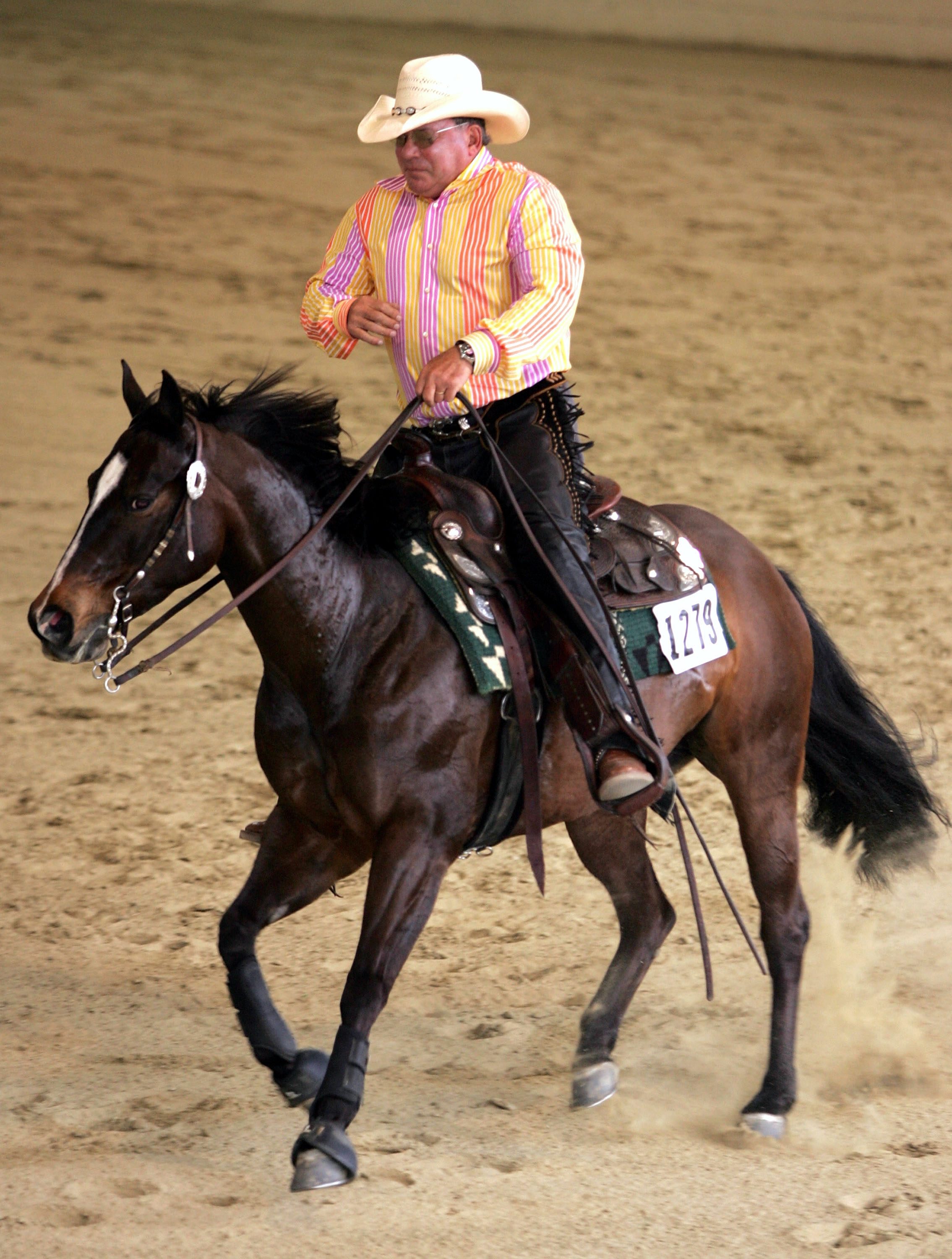 william shatner on a horse