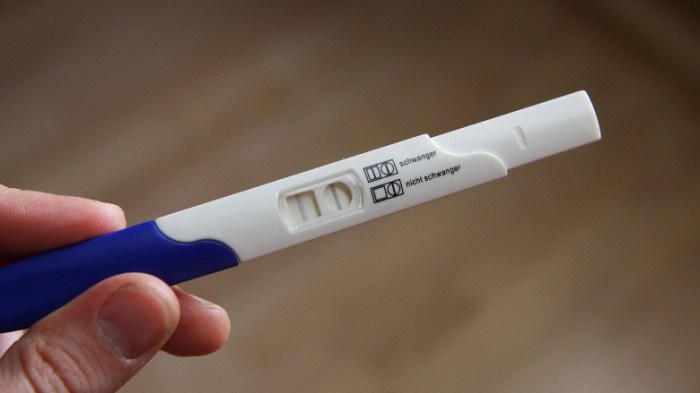 A pregnancy test.