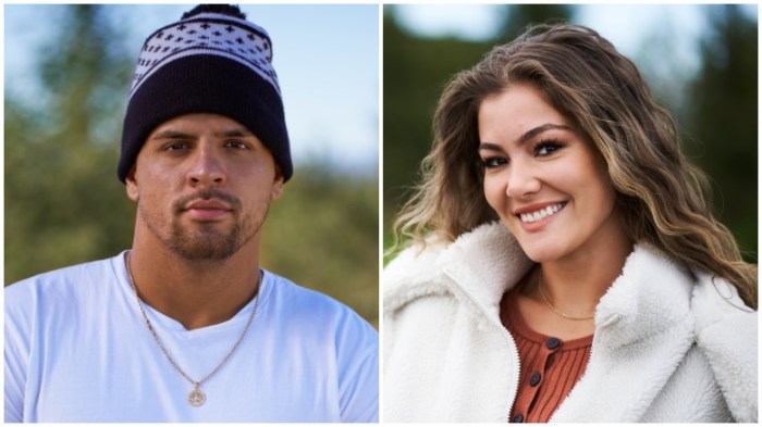 Fessy Shafaat Tori Deal
