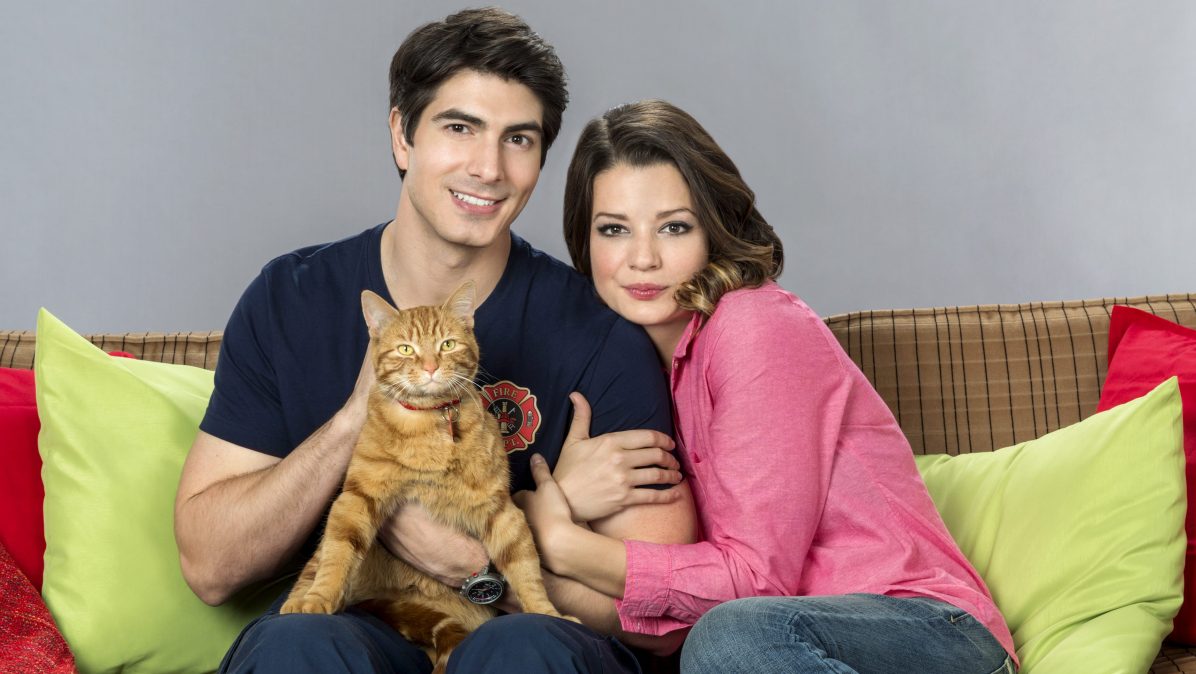 The Nine Lives of Christmas sequel