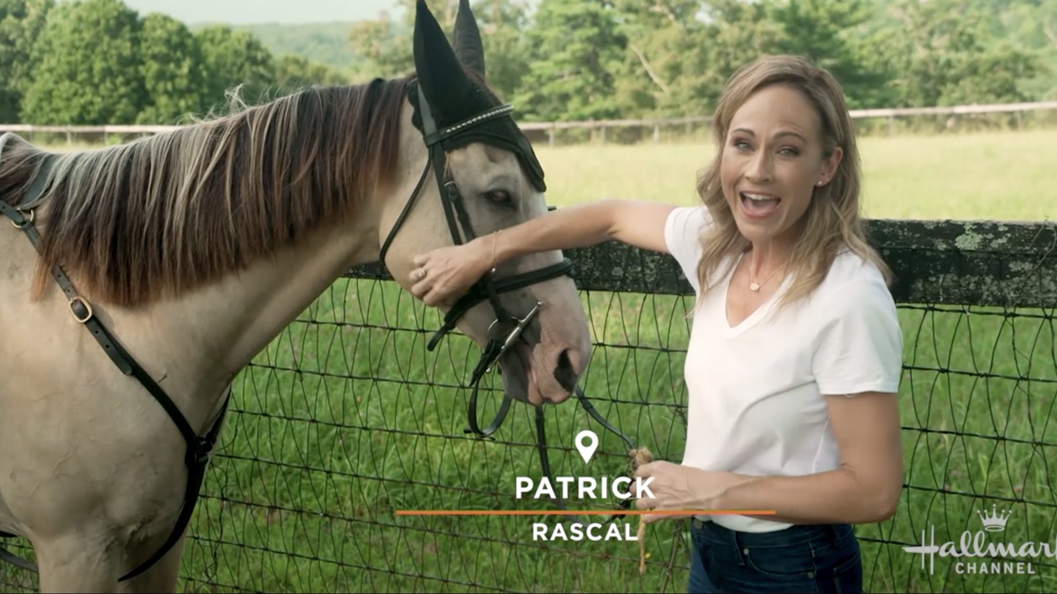 the horses of Taking the Reins