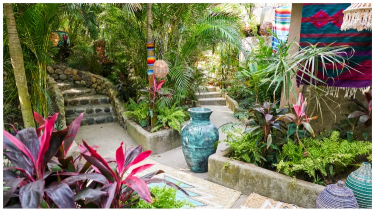 Bachelor in Paradise Resort