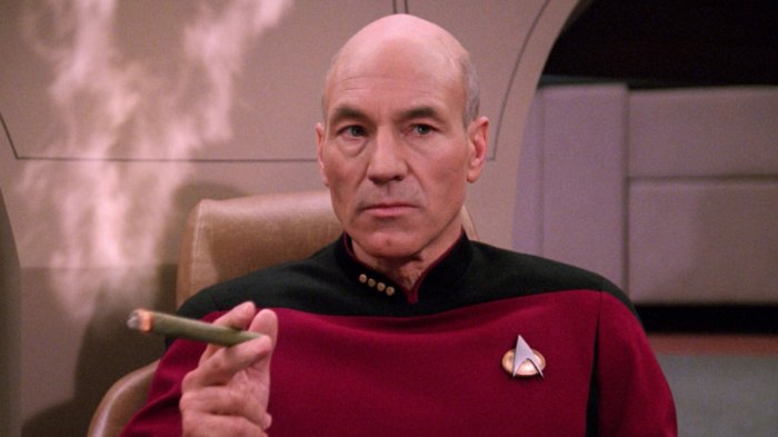 Patrick Stewart as Picard