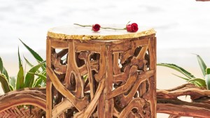 Bachelor in Paradise final rose