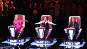 The Voice Coaches