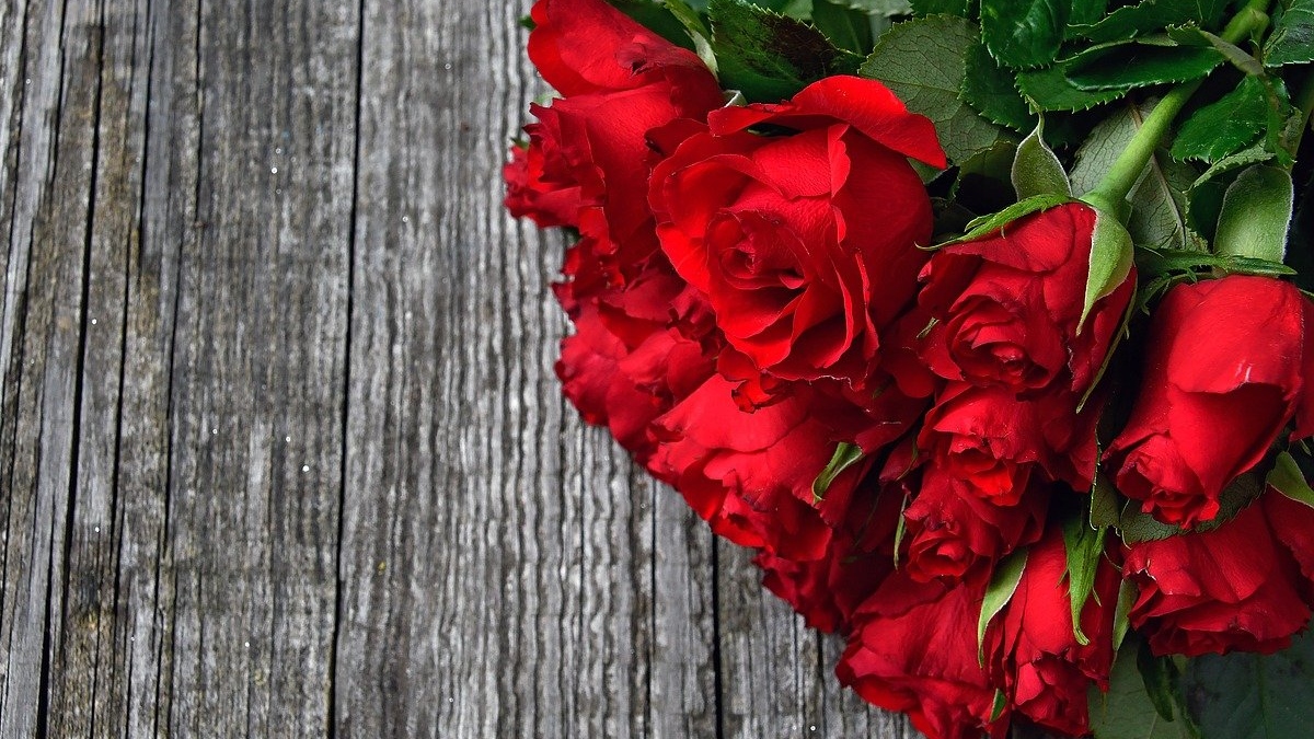 A bouquet of red roses