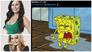 madison bachelor