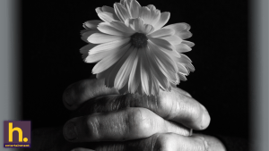 A flower.