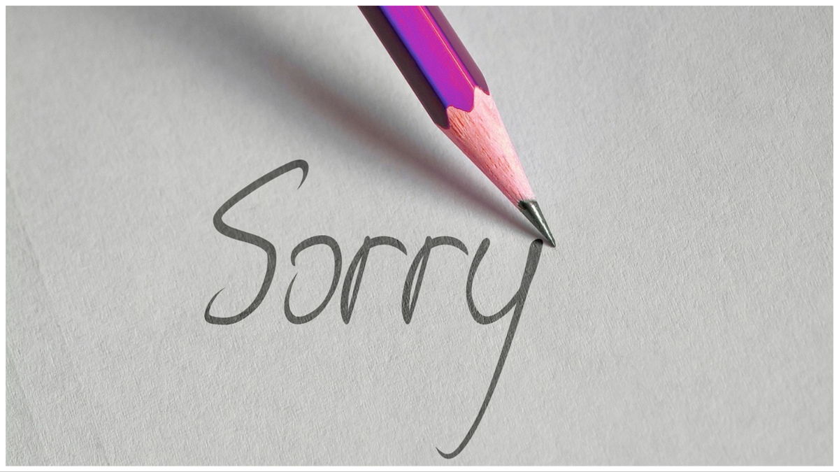 apology