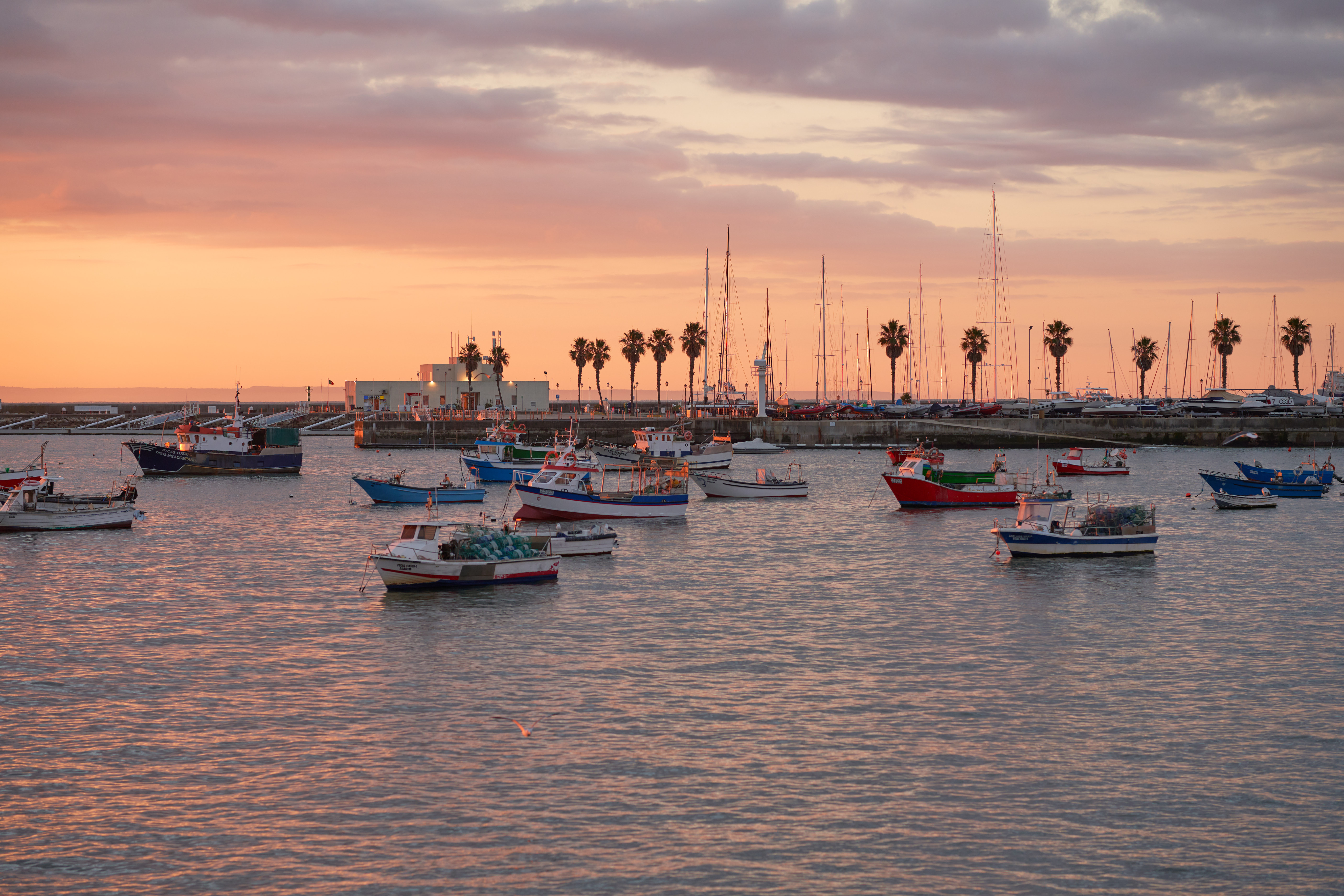 Where Was 'A Pinch of Portugal' Filmed? Cast Stories