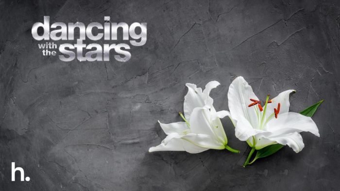 dwts