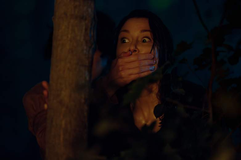 "The Way Home" season 2 episode 4