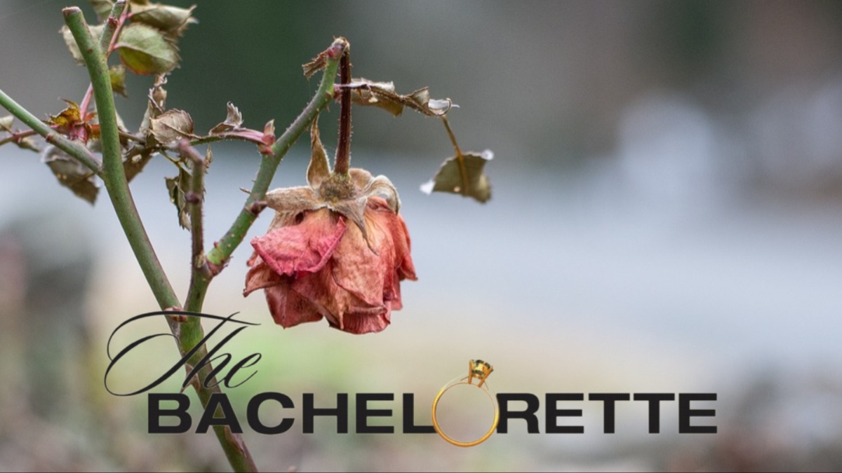 A wilted rose.