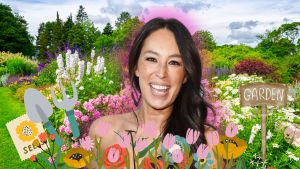 Joanna Gaines