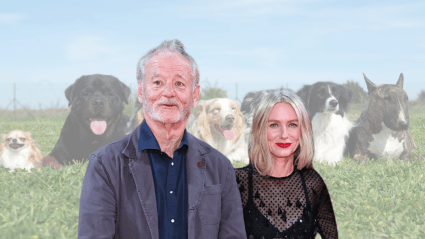 Bill Murray Tries to Navigate Moving Forward After Loss