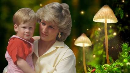 Prince Harry Recreates Princess Diana Moment With His Son