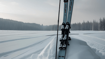Tributes Pour In for Olympic Gold Medalist After Tragic Accident