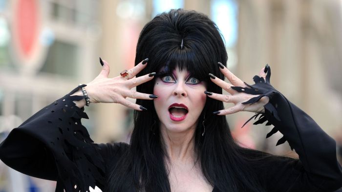 Elvira Mistress of the Dark Photo Op during Comic-Con 2011 on July 23, 2011 in San Diego, California