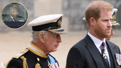 Prince Harry Reunites with King Charles After More Than a Year: DETAILS