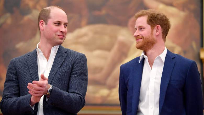Prince William Prince Harry Relationship 2025