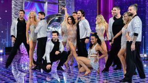 DWTS pro dancers