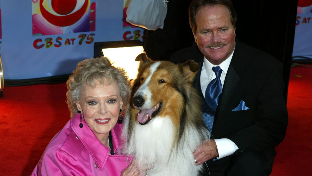June Lockhart, Lassie and Jon Provost