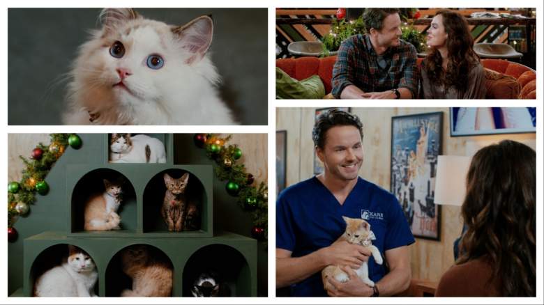 "Christmas at the Catnip Cafe"