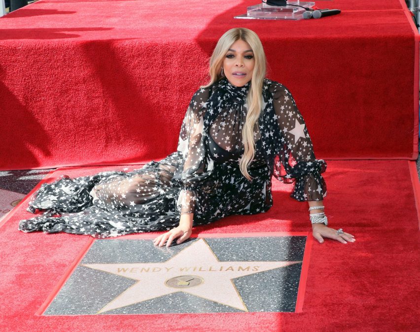 Wendy Williams hollywood star