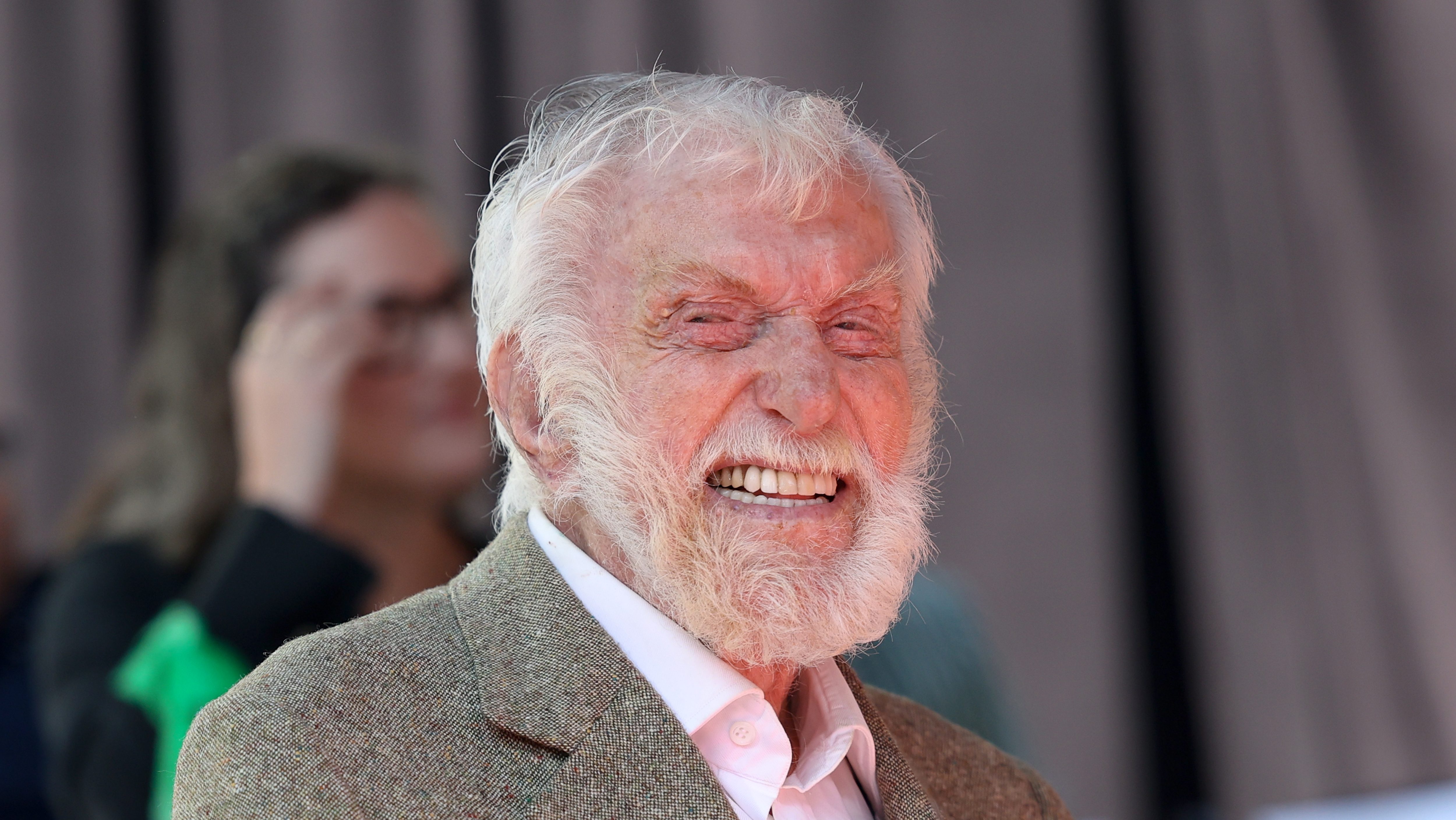 Dick Van Dyke.