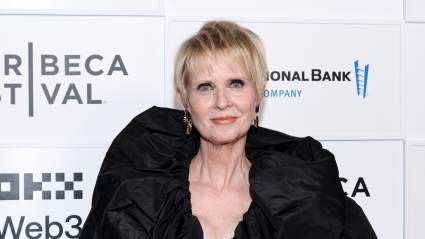 Cynthia Nixon Will Host 22 People for Thanksgiving with 1 Day Off — HOW?!