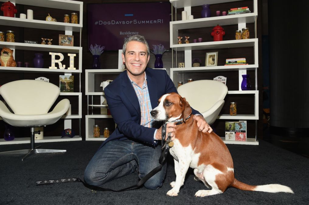 Andy Cohen
