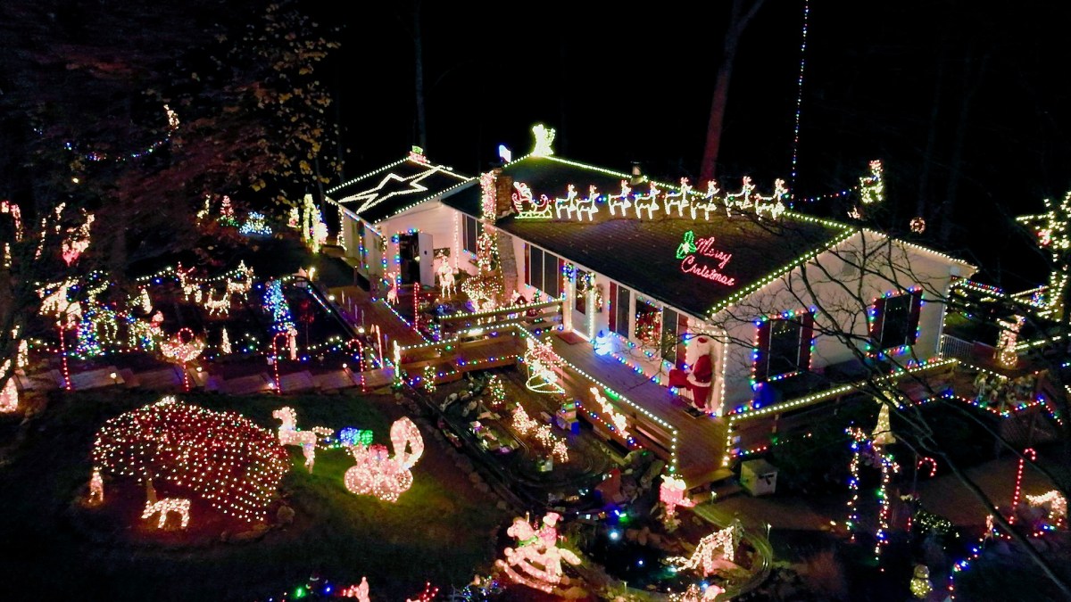 THE GREAT CHRISTMAS LIGHT FIGHT