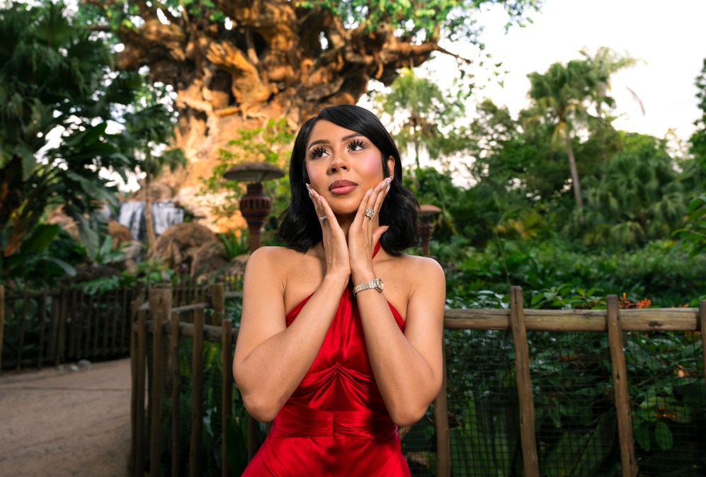 ANNIVERSARY DISNEY PARKS MAGICAL CHRISTMAS DAY PARADE