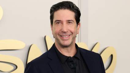 David Schwimmer Makes Rare Public Appearance Holding Hands With Eliana Jolkovsky