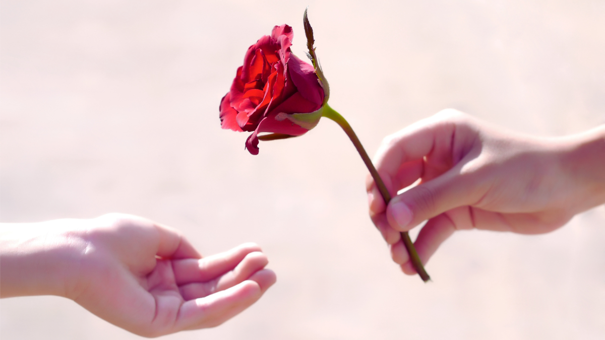 Giving a Rose