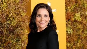 Julia Louis-Dreyfus Seinfeld