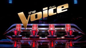 voice