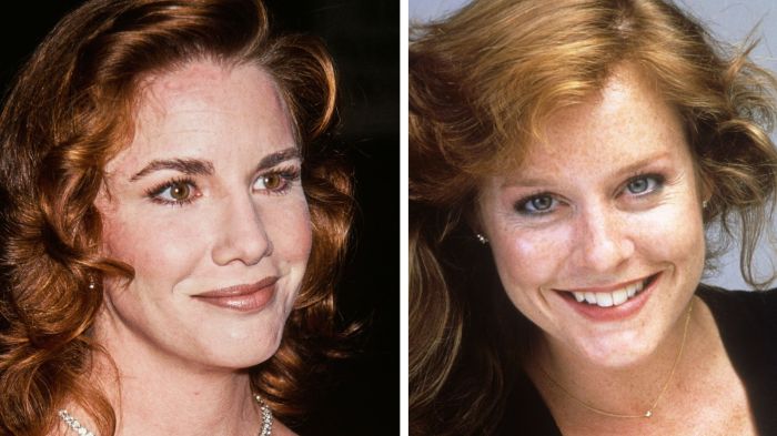 Melissa Gilbert, Mary McDonough
